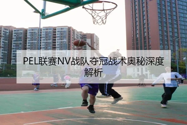 PEL联赛NV战队夺冠战术奥秘深度解析