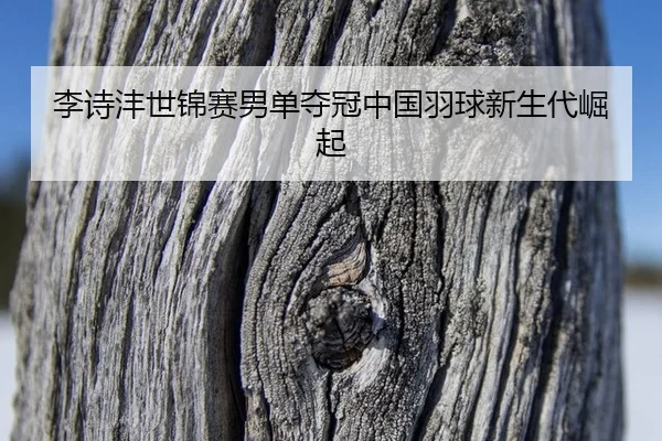 李诗沣世锦赛男单夺冠中国羽球新生代崛起